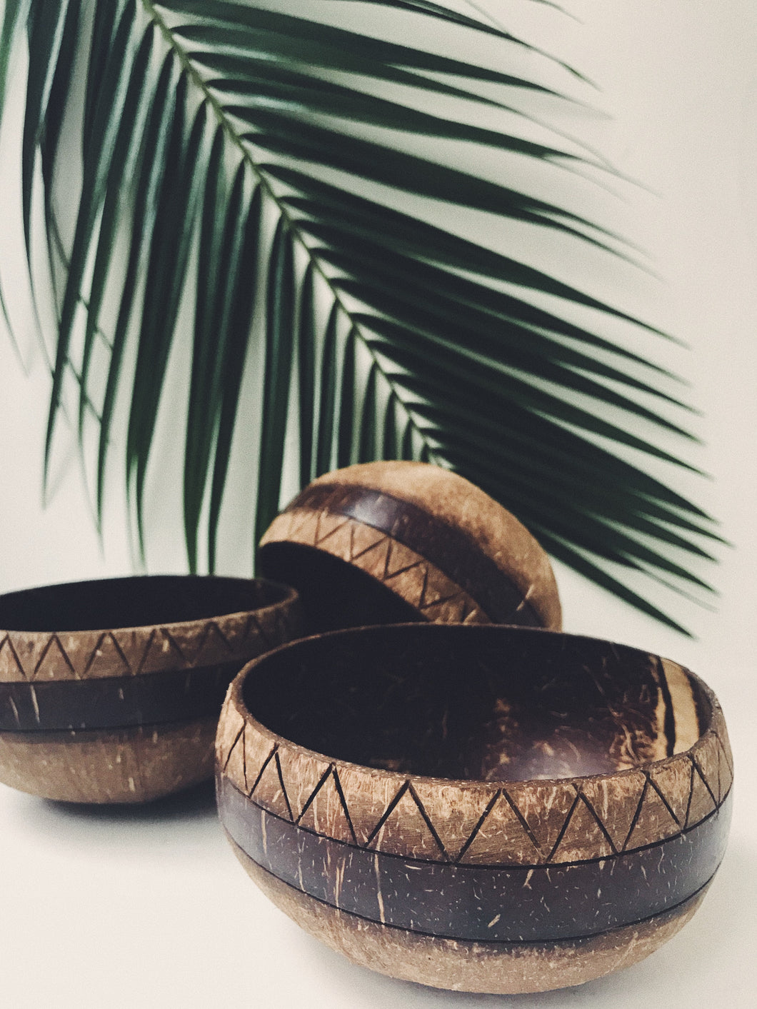 TULUM COCONUT BOWL